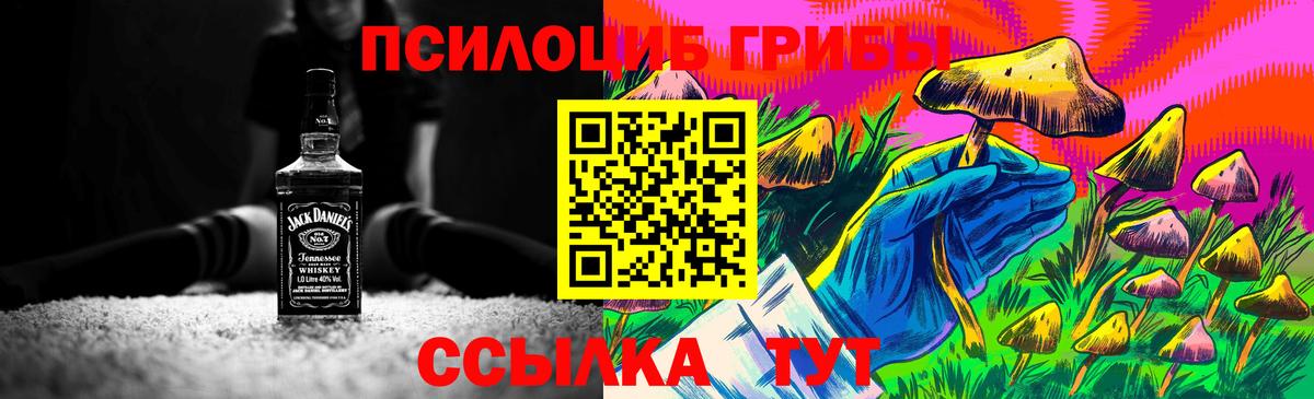 Галлюциногенные грибы Psilocybine cubensis Симферополь
