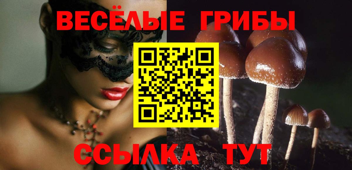 Псилоцибиновые грибы ЛСД  Псилоцибиновые грибы ЛСД  Симферополь  Вход с VPN 